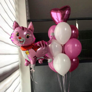 Набор шаров для девочки Кошечка розовая с шарфиком